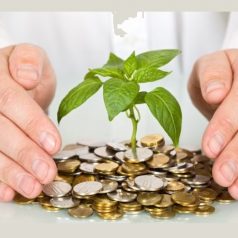 تامین امنیت مالی برای خانواده با بیمه عمر